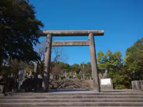 南洲神社の鳥居