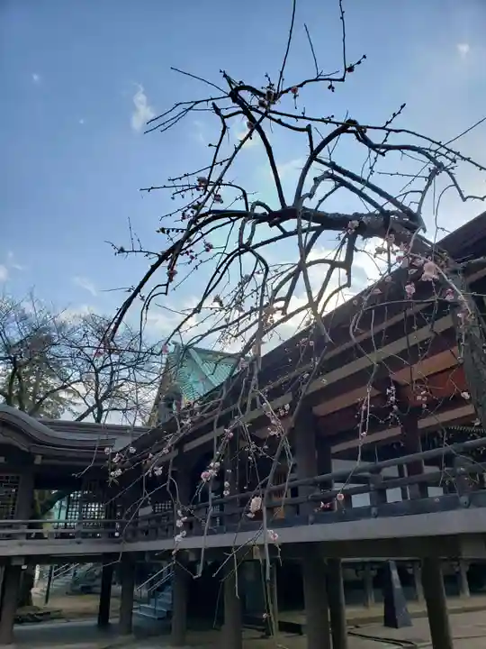 妙法寺(東京都)