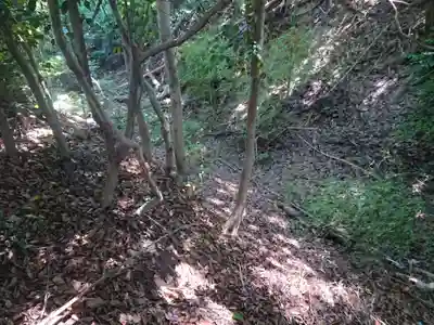 幸稲荷神社の自然