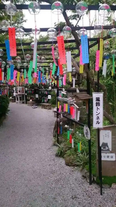 三井寺(平等寺)の自然