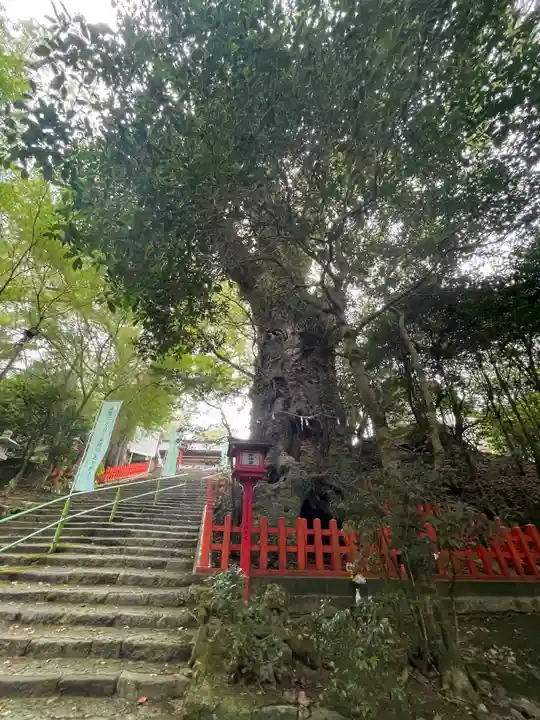 新田神社(鹿児島県)