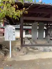 粉河寺(和歌山県)