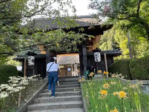 横浜　西方寺の山門・神門