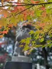 泉神社(茨城県)