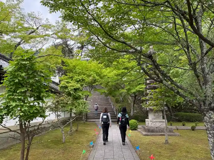 西教寺の{uncategorized: "未分類", other: "その他", undefined: "問題あり", building: "その他建物", grave: "お墓", sacred_gate: "鳥居", guardian: "狛犬", statue: "像", buddha: "仏像", history: "歴史", nature: "自然", garden: "庭園", animal: "動物", pagoda: "塔", temizu: "手水舎", mountain_gate: "山門・神門", sanctuary: "本殿・本堂", subordinate: "末社・摂社", art: "芸術", scenery: "景色", jizo: "地蔵", ema: "絵馬", goshuin: "御朱印", omikuji: "おみくじ", items: "授与品その他", amulet: "お守り", goshuincho: "御朱印帳", eats: "食事", festival: "お祭り", votive_dance: "神楽", shichigosan: "七五三参", wedding: "結婚式", experience: "体験その他", initially: "初詣", around: "周辺", anti_infection: "感染症対策"}