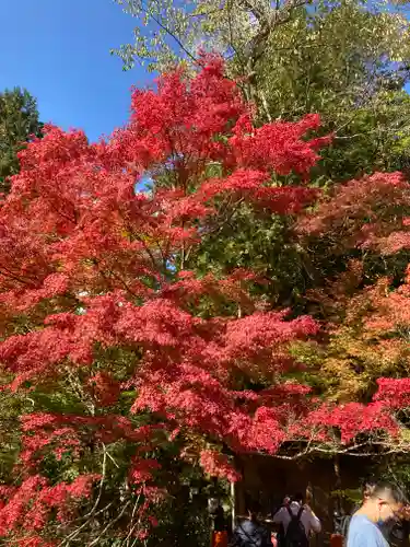 西明寺(京都府)