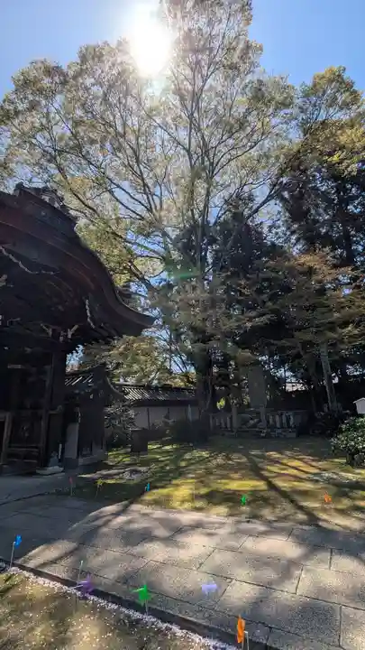 西教寺(滋賀県)