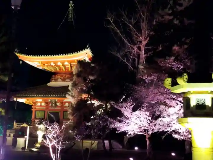 知恩院(京都府)