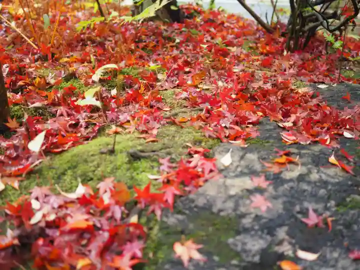 円成寺の{uncategorized: "未分類", other: "その他", undefined: "問題あり", building: "その他建物", grave: "お墓", sacred_gate: "鳥居", guardian: "狛犬", statue: "像", buddha: "仏像", history: "歴史", nature: "自然", garden: "庭園", animal: "動物", pagoda: "塔", temizu: "手水舎", mountain_gate: "山門・神門", sanctuary: "本殿・本堂", subordinate: "末社・摂社", art: "芸術", scenery: "景色", jizo: "地蔵", ema: "絵馬", goshuin: "御朱印", omikuji: "おみくじ", items: "授与品その他", amulet: "お守り", goshuincho: "御朱印帳", eats: "食事", festival: "お祭り", votive_dance: "神楽", shichigosan: "七五三参", wedding: "結婚式", experience: "体験その他", initially: "初詣", around: "周辺", anti_infection: "感染症対策"}