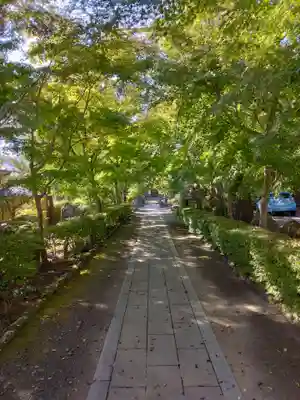 宝蓮寺(神奈川県)