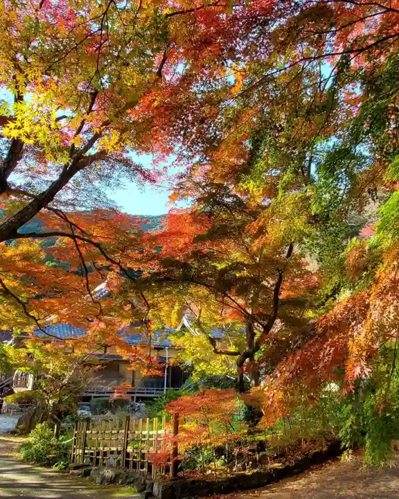 普門寺(切り絵御朱印発祥の寺)の自然