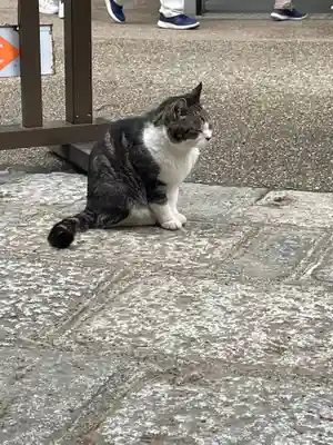 円覚寺(神奈川県)