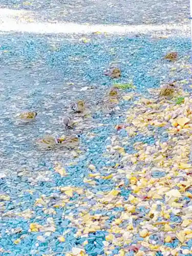 札幌諏訪神社の動物