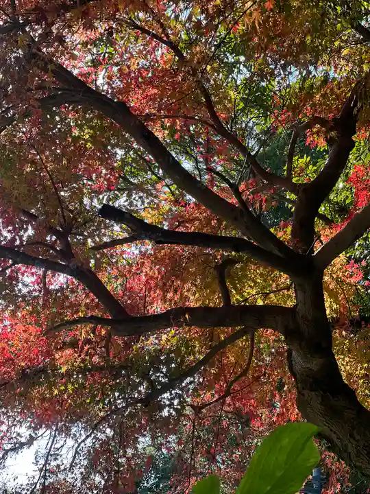 久能山東照宮の自然