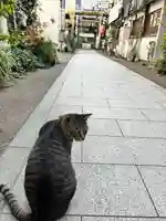 華下天滿神社の動物