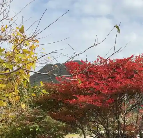 興福院お玉観音堂(神奈川県)