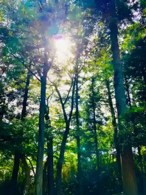 愛宕神社(茨城県)