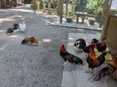 石上神宮(奈良県)