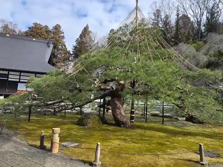 慈雲寺(長野県)
