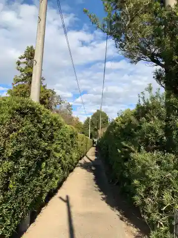 粟生巣神社(千葉県)