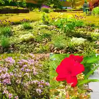 寿量山 速成寺の自然