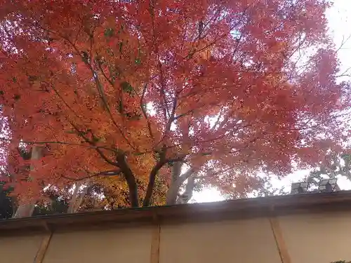 東勝寺跡の景色