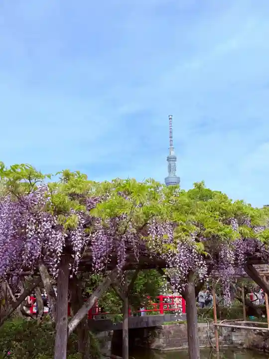 亀戸天神社の{uncategorized: "未分類", other: "その他", undefined: "問題あり", building: "その他建物", grave: "お墓", sacred_gate: "鳥居", guardian: "狛犬", statue: "像", buddha: "仏像", history: "歴史", nature: "自然", garden: "庭園", animal: "動物", pagoda: "塔", temizu: "手水舎", mountain_gate: "山門・神門", sanctuary: "本殿・本堂", subordinate: "末社・摂社", art: "芸術", scenery: "景色", jizo: "地蔵", ema: "絵馬", goshuin: "御朱印", omikuji: "おみくじ", items: "授与品その他", amulet: "お守り", goshuincho: "御朱印帳", eats: "食事", festival: "お祭り", votive_dance: "神楽", shichigosan: "七五三参", wedding: "結婚式", experience: "体験その他", initially: "初詣", around: "周辺", anti_infection: "感染症対策"}