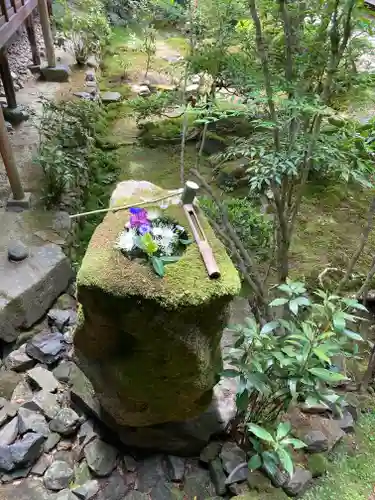 安楽寺の庭園