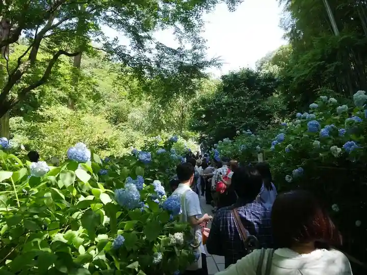 明月院のその他建物