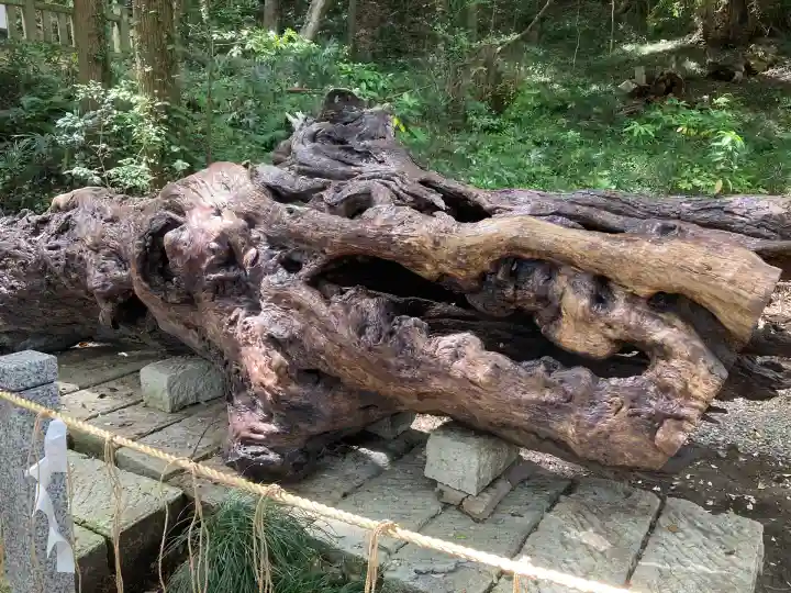 泉神社(茨城県)