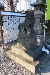 白鬚神社の狛犬