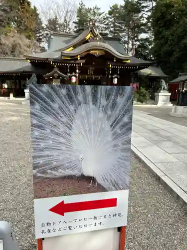 進雄神社(群馬県)