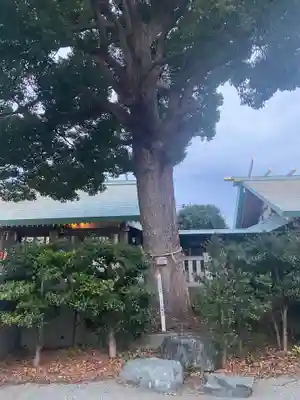 伊勢原大神宮(神奈川県)