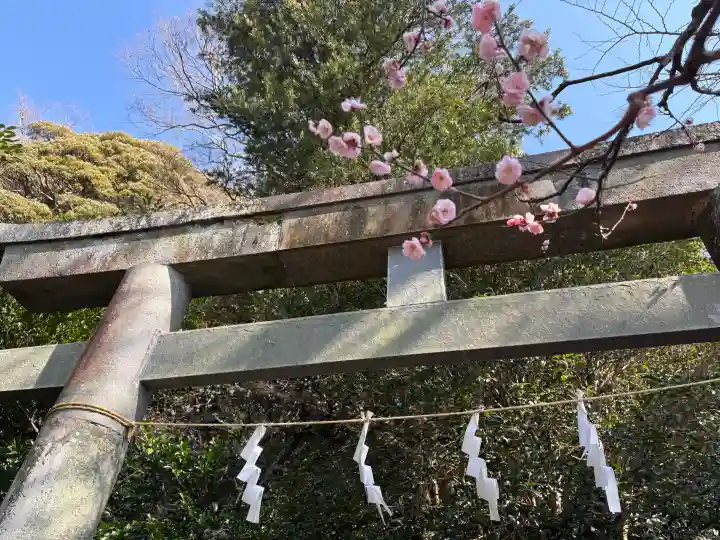 荏柄天神社の{uncategorized: "未分類", other: "その他", undefined: "問題あり", building: "その他建物", grave: "お墓", sacred_gate: "鳥居", guardian: "狛犬", statue: "像", buddha: "仏像", history: "歴史", nature: "自然", garden: "庭園", animal: "動物", pagoda: "塔", temizu: "手水舎", mountain_gate: "山門・神門", sanctuary: "本殿・本堂", subordinate: "末社・摂社", art: "芸術", scenery: "景色", jizo: "地蔵", ema: "絵馬", goshuin: "御朱印", omikuji: "おみくじ", items: "授与品その他", amulet: "お守り", goshuincho: "御朱印帳", eats: "食事", festival: "お祭り", votive_dance: "神楽", shichigosan: "七五三参", wedding: "結婚式", experience: "体験その他", initially: "初詣", around: "周辺", anti_infection: "感染症対策"}