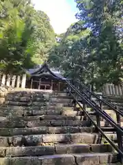 平泉寺白山神社(福井県)