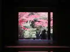 金剛輪寺の建物その他