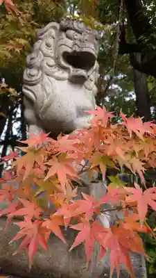 市原稲荷神社の狛犬