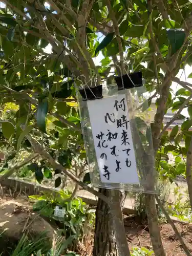 円照寺(兵庫県)