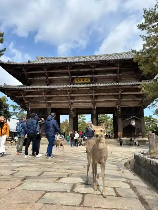 東大寺の{uncategorized: "未分類", other: "その他", undefined: "問題あり", building: "その他建物", grave: "お墓", sacred_gate: "鳥居", guardian: "狛犬", statue: "像", buddha: "仏像", history: "歴史", nature: "自然", garden: "庭園", animal: "動物", pagoda: "塔", temizu: "手水舎", mountain_gate: "山門・神門", sanctuary: "本殿・本堂", subordinate: "末社・摂社", art: "芸術", scenery: "景色", jizo: "地蔵", ema: "絵馬", goshuin: "御朱印", omikuji: "おみくじ", items: "授与品その他", amulet: "お守り", goshuincho: "御朱印帳", eats: "食事", festival: "お祭り", votive_dance: "神楽", shichigosan: "七五三参", wedding: "結婚式", experience: "体験その他", initially: "初詣", around: "周辺", anti_infection: "感染症対策"}