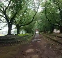 東蕗田天満社の建物その他