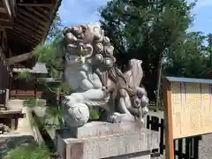 天宮神社の狛犬