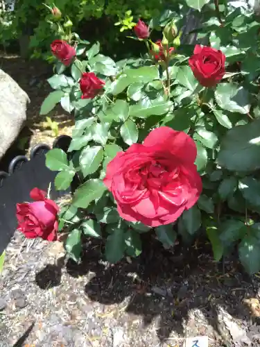 宝光寺(北海道)