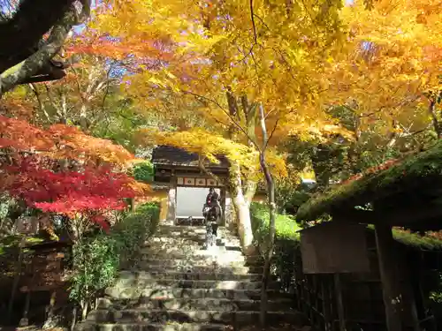 寂光院の景色