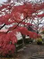 普門院(文知摺観音)(福島県)