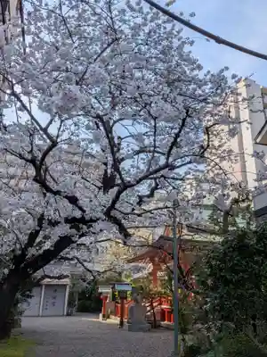 秋葉神社(東京都)