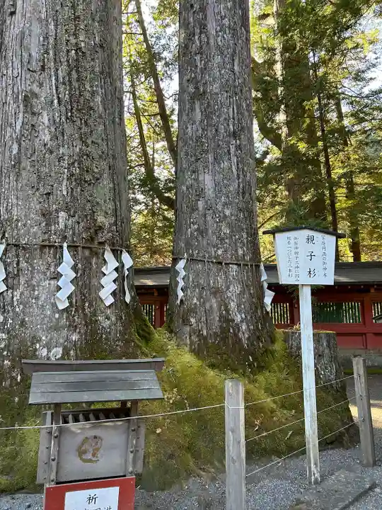 日光二荒山神社(栃木県)