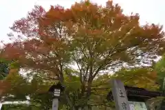 土津神社｜こどもと出世の神さまの自然