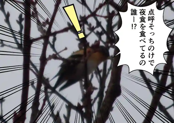 留辺蘂神社の動物