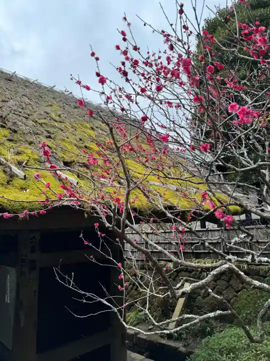 大藏辯財天(神奈川県)