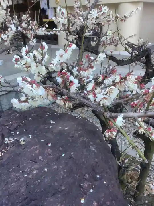 六所神社(愛知県)